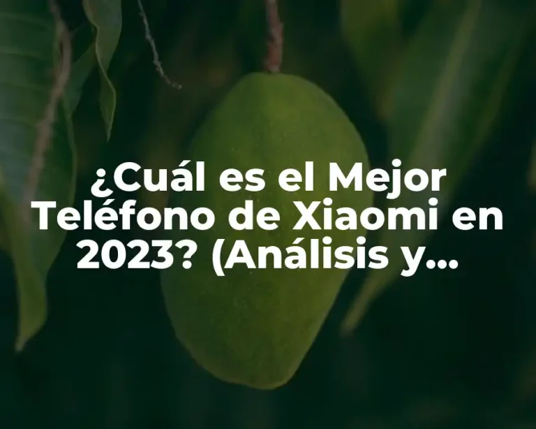¿Cuál es el Mejor Teléfono de Xiaomi en 2023? (Análisis y Comparativa)