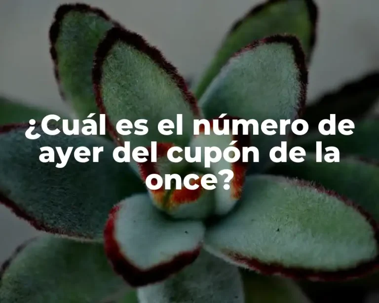 ¿Cuál es el número de ayer del cupón de la once?