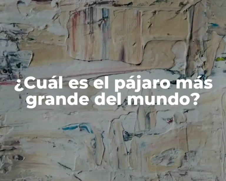 ¿Cuál es el pájaro más grande del mundo?