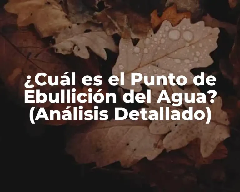 ¿Cuál es el Punto de Ebullición del Agua? (Análisis Detallado)