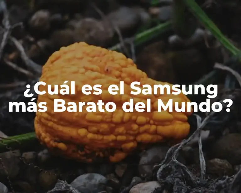 ¿Cuál es el Samsung más Barato del Mundo?