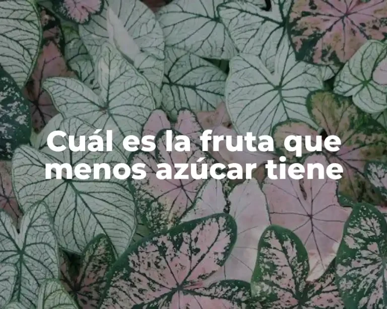 Cuál es la fruta que menos azúcar tiene