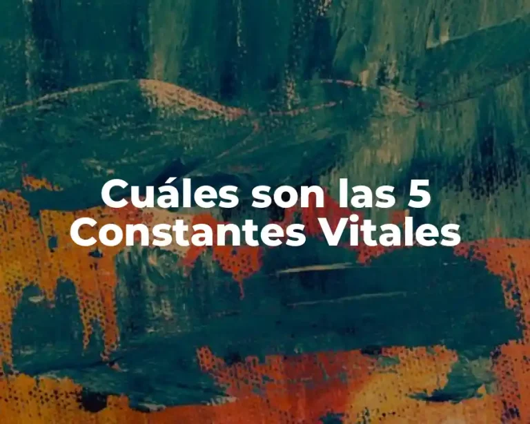 Cuáles son las 5 Constantes Vitales