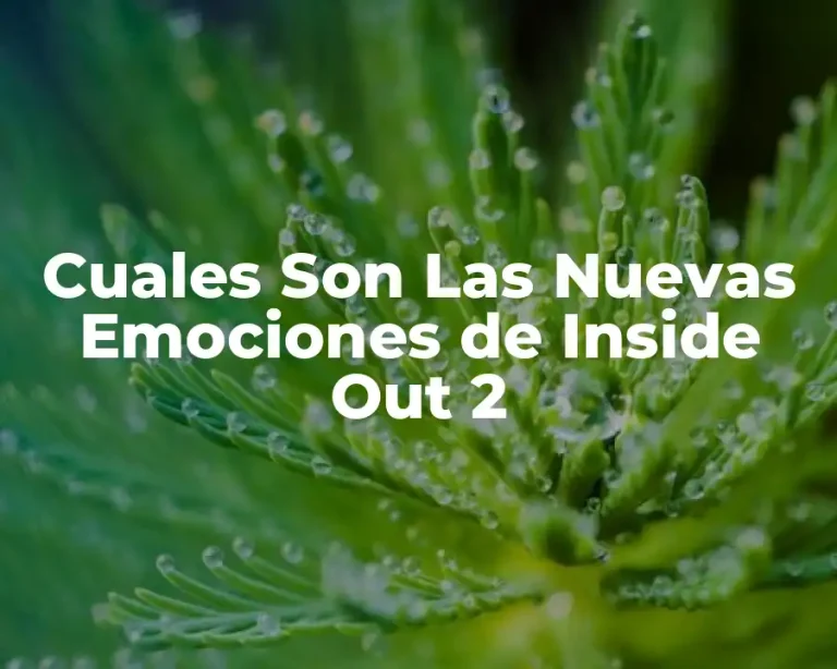 Cuales Son Las Nuevas Emociones de Inside Out 2