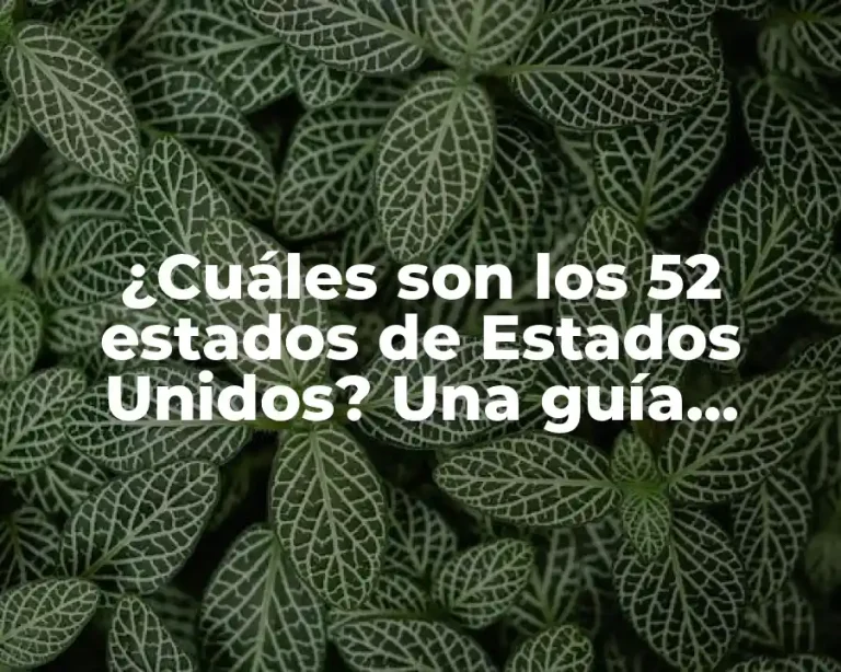 ¿Cuáles son los 52 estados de Estados Unidos? Una guía completa