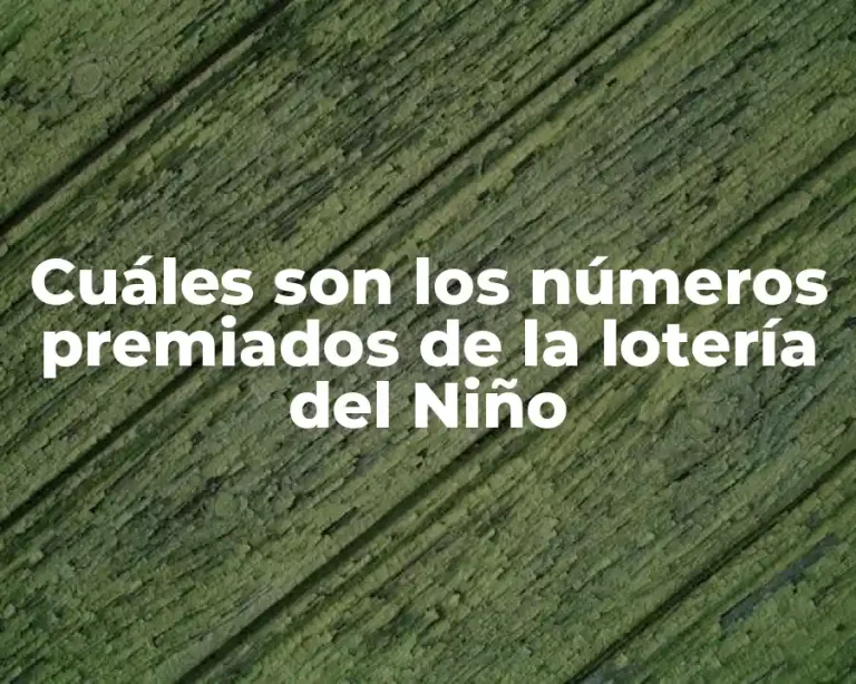 Cuáles son los números premiados de la lotería del Niño