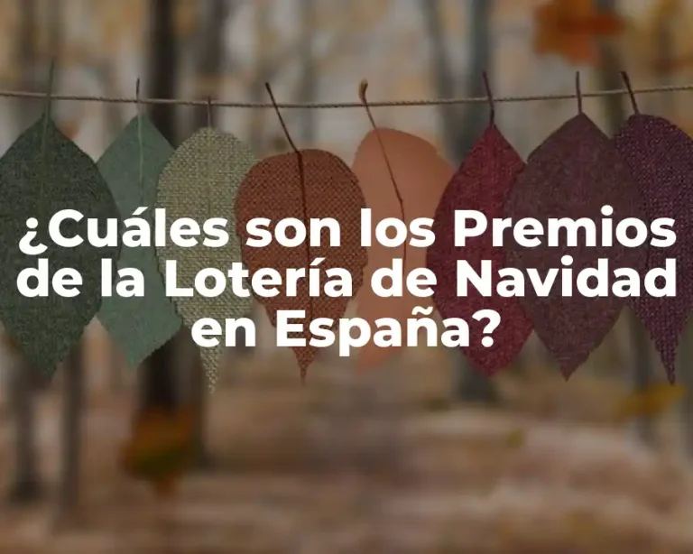 ¿Cuáles son los Premios de la Lotería de Navidad en España?