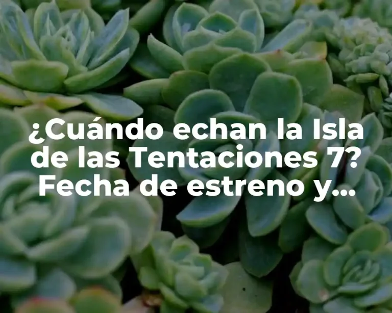 ¿Cuándo echan la Isla de las Tentaciones 7? Fecha de estreno y detalles