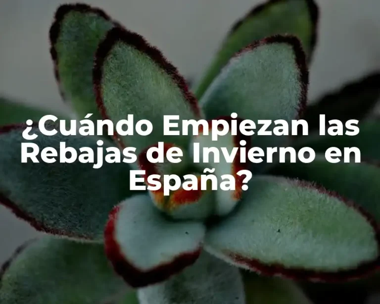 ¿Cuándo Empiezan las Rebajas de Invierno en España?