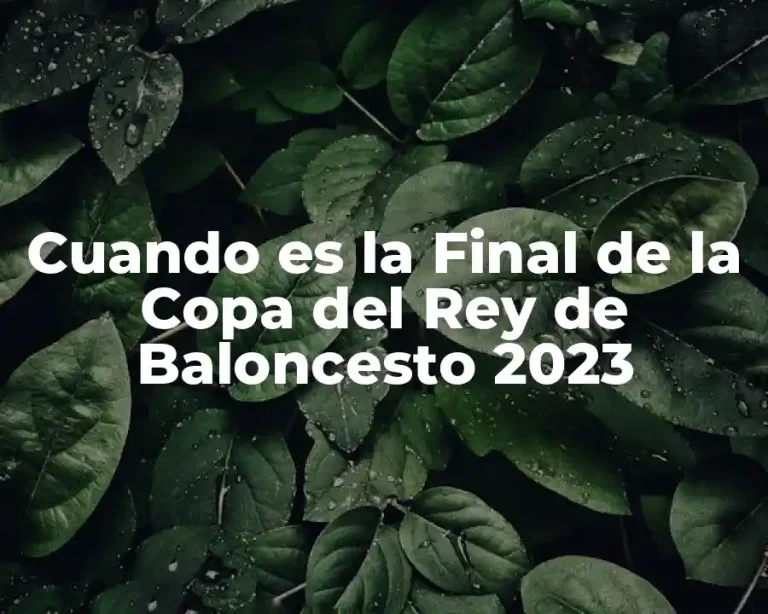 Cuando es la Final de la Copa del Rey de Baloncesto 2023