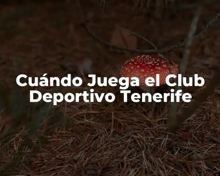 Cuándo Juega el Club Deportivo Tenerife