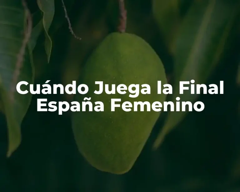 Cuándo Juega la Final España Femenino