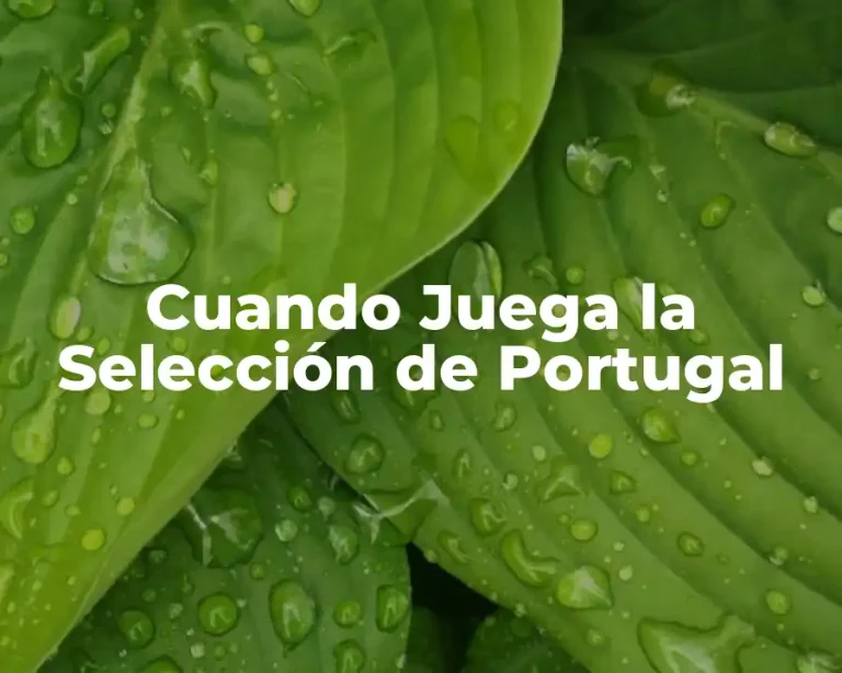 Cuando Juega la Selección de Portugal