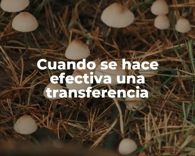Cuando se hace efectiva una transferencia