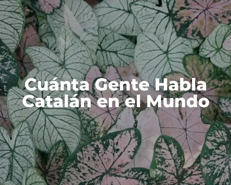 Cuánta Gente Habla Catalán en el Mundo