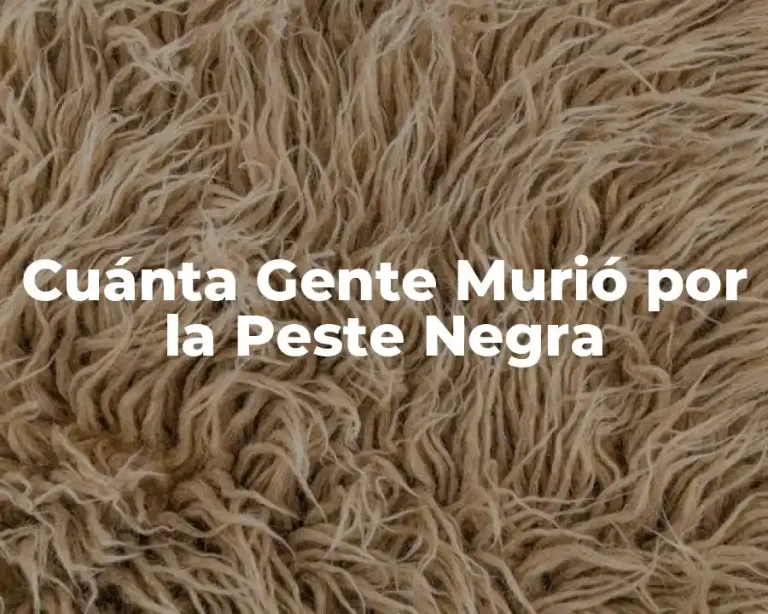 Cuánta Gente Murió por la Peste Negra