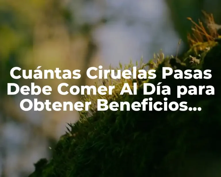 Cuántas Ciruelas Pasas Debe Comer Al Día para Obtener Beneficios para la Salud