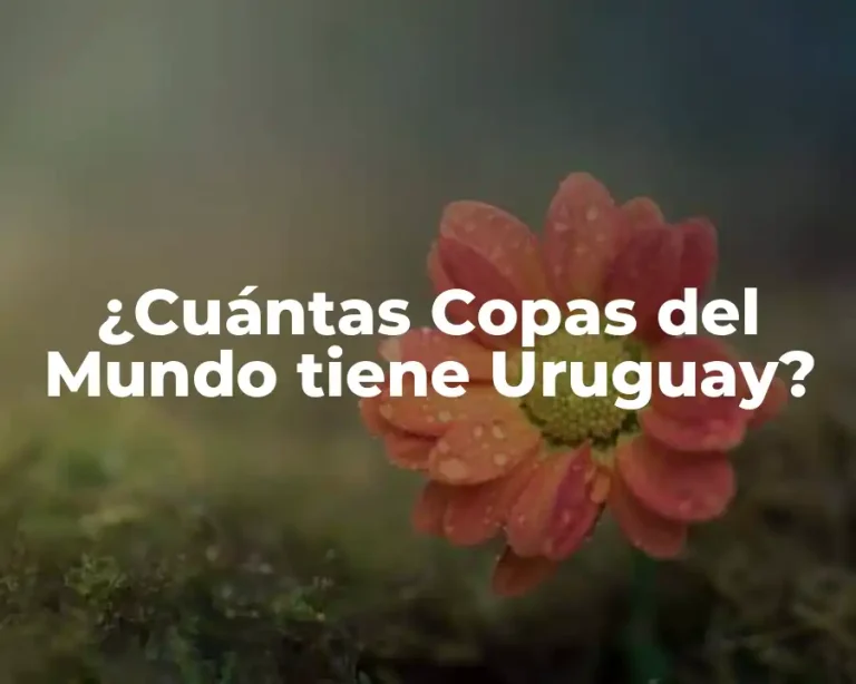 ¿Cuántas Copas del Mundo tiene Uruguay?