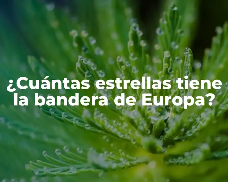 ¿Cuántas estrellas tiene la bandera de Europa?