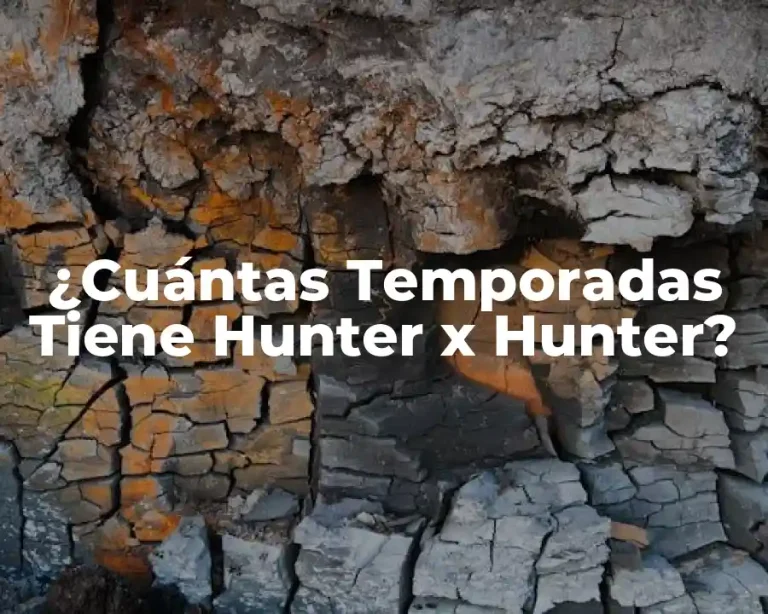 ¿Cuántas Temporadas Tiene Hunter x Hunter?