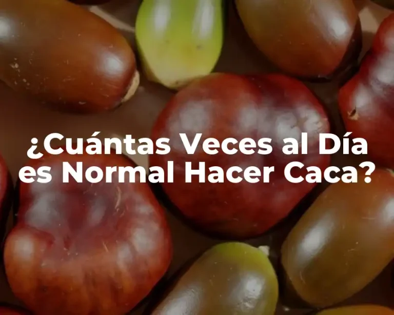 ¿Cuántas Veces al Día es Normal Hacer Caca?