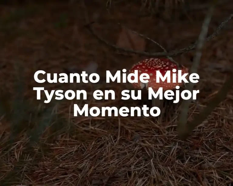 Cuanto Mide Mike Tyson en su Mejor Momento