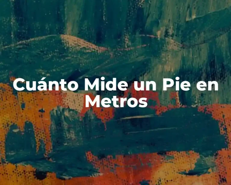 Cuánto Mide un Pie en Metros