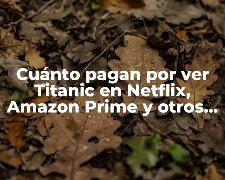 Cuánto pagan por ver Titanic en Netflix, Amazon Prime y otros servicios de streaming