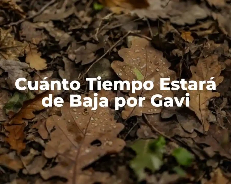 Cuánto Tiempo Estará de Baja por Gavi