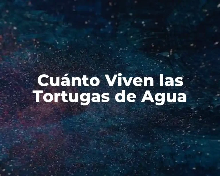 Cuánto Viven las Tortugas de Agua
