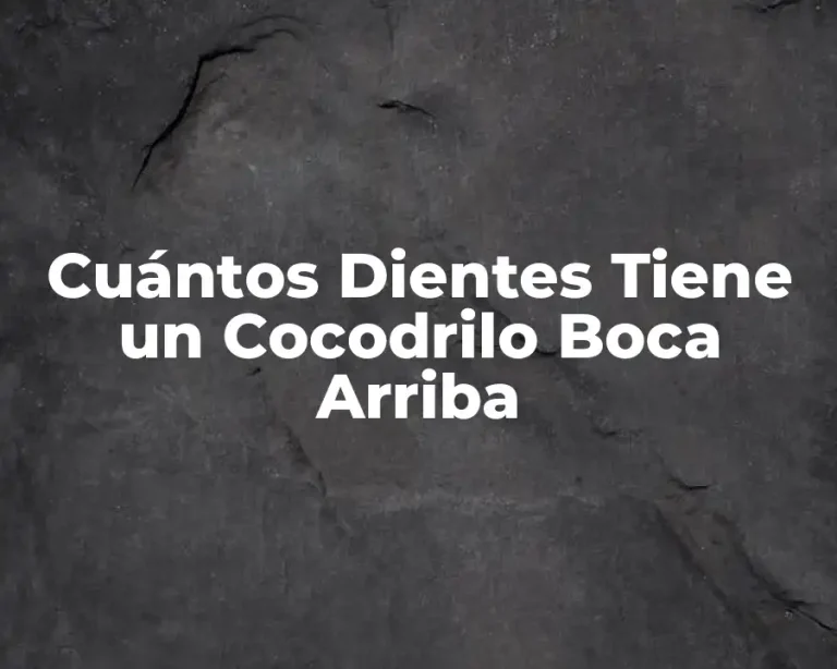 Cuántos Dientes Tiene un Cocodrilo Boca Arriba