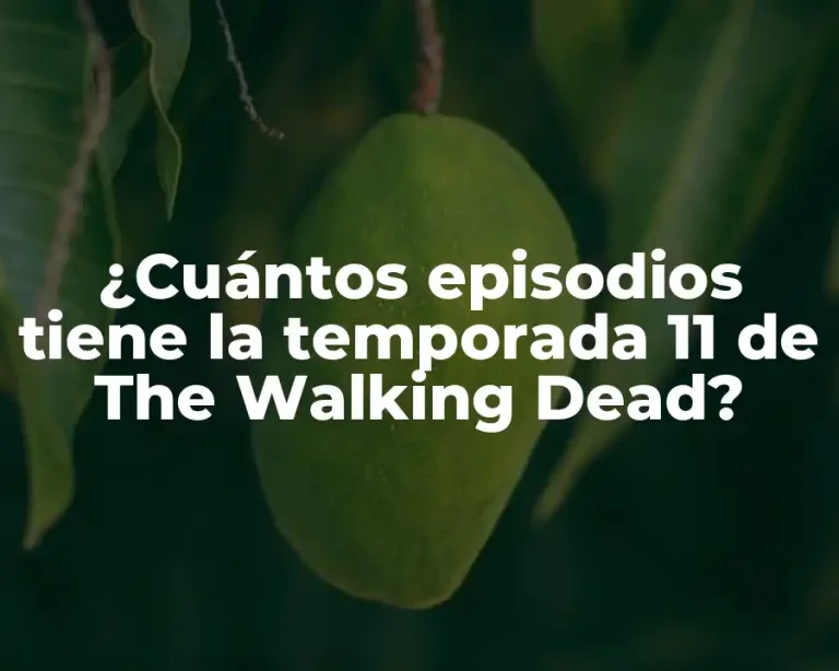 ¿Cuántos episodios tiene la temporada 11 de The Walking Dead?