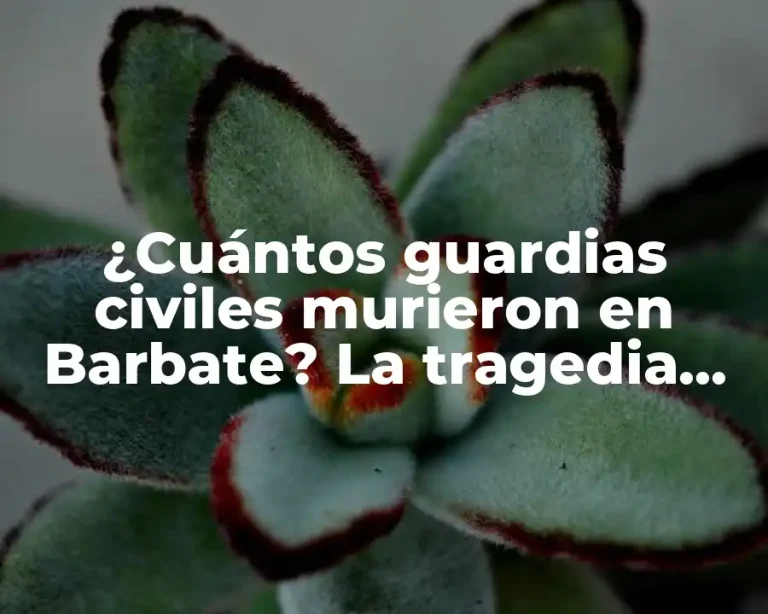 ¿Cuántos guardias civiles murieron en Barbate? La tragedia aérea de 2005