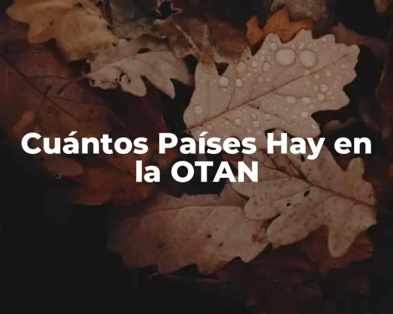 Cuántos Países Hay en la OTAN