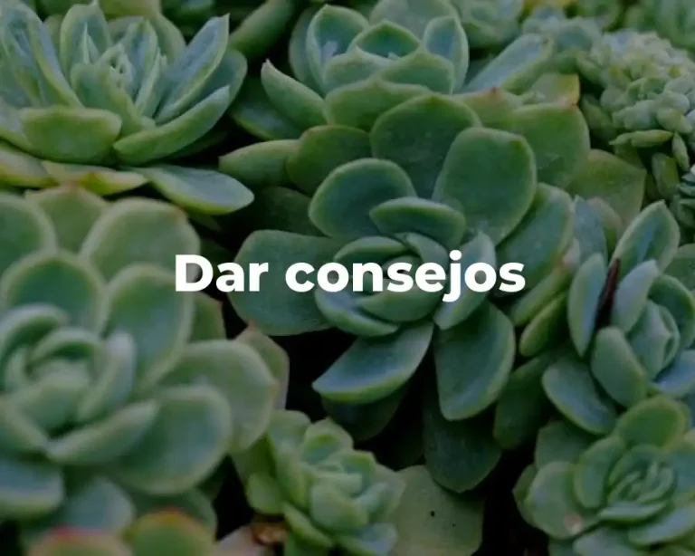 Dar consejos