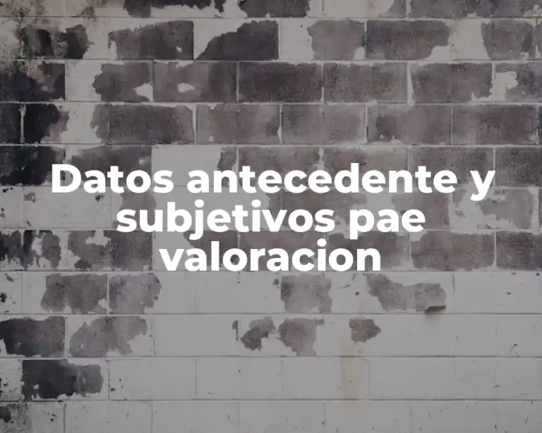 Datos antecedente y subjetivos pae valoracion
