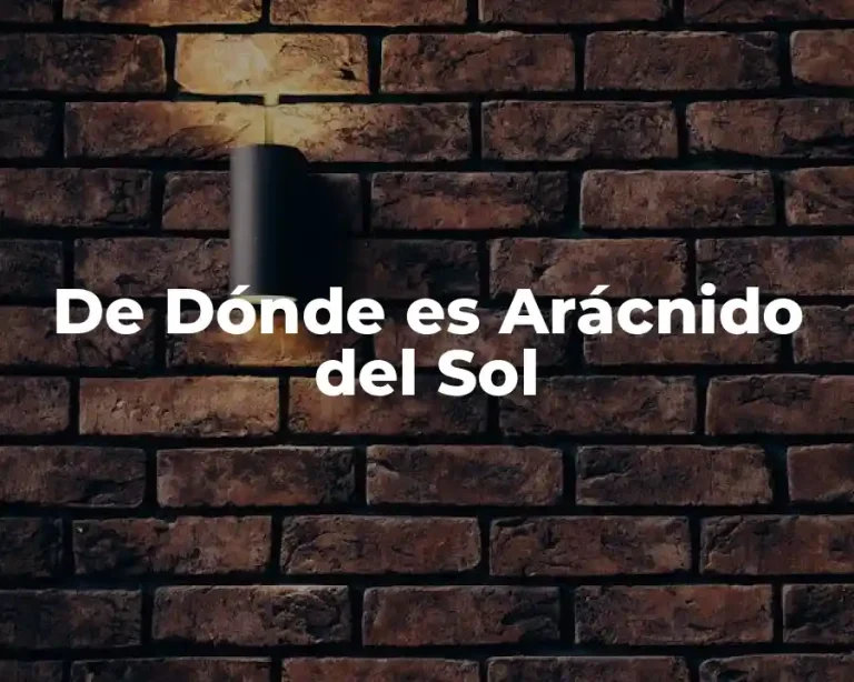 De Dónde es Arácnido del Sol