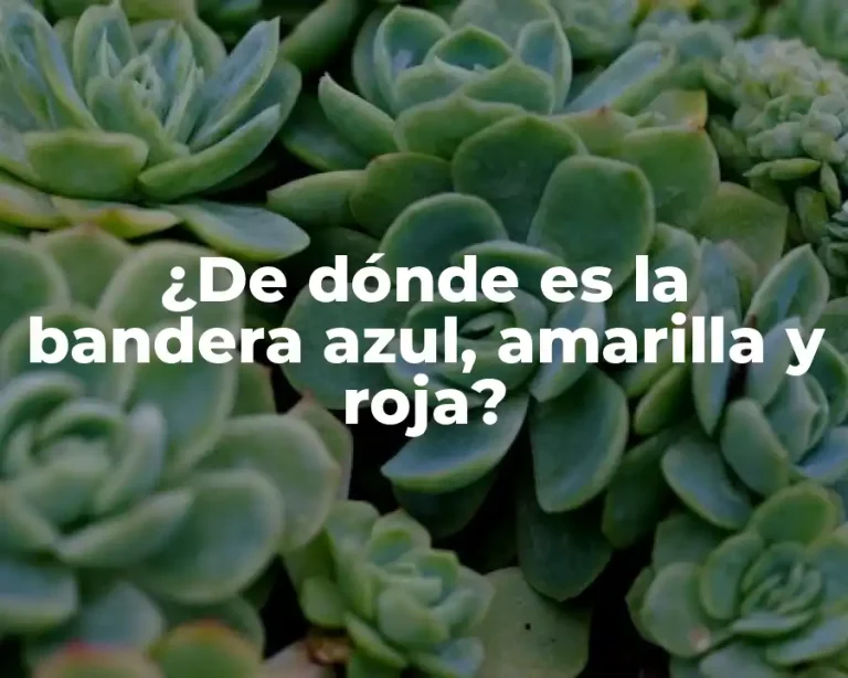 ¿De dónde es la bandera azul, amarilla y roja?