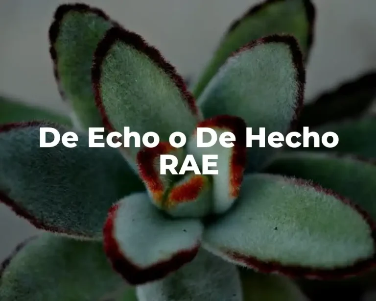 De Echo o De Hecho RAE