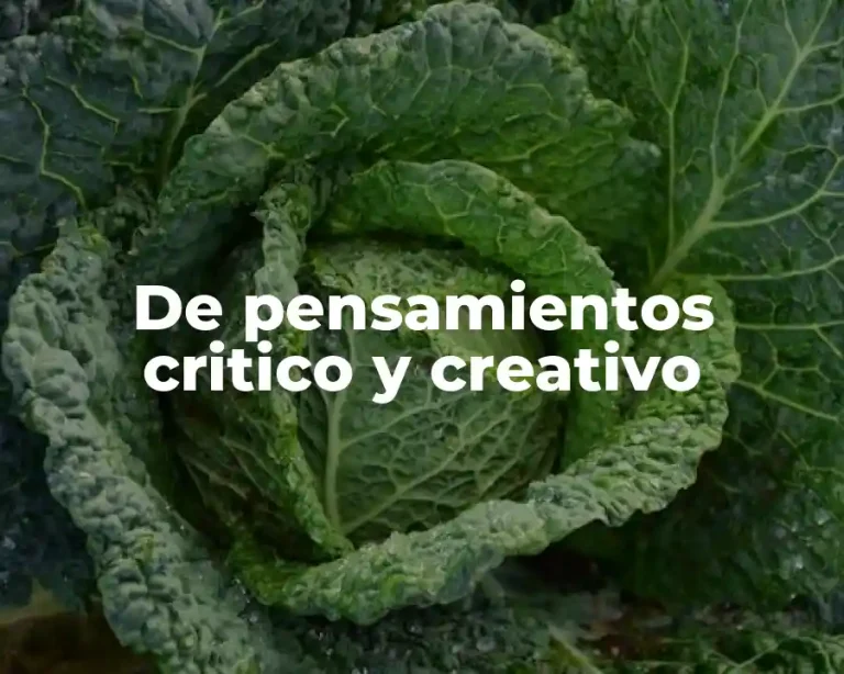 De pensamientos critico y creativo