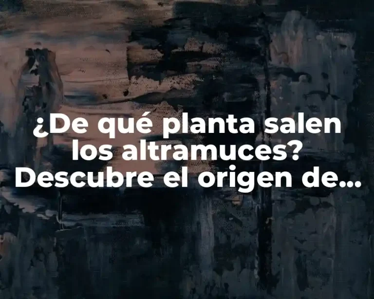 ¿De qué planta salen los altramuces? Descubre el origen de estos deliciosos frutos secos