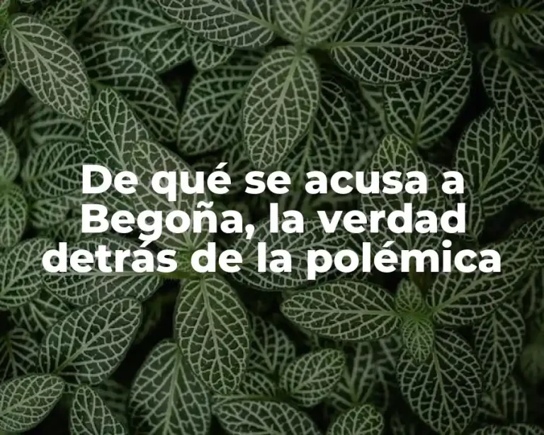 De qué se acusa a Begoña, la verdad detrás de la polémica