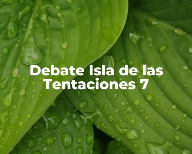 Debate Isla de las Tentaciones 7