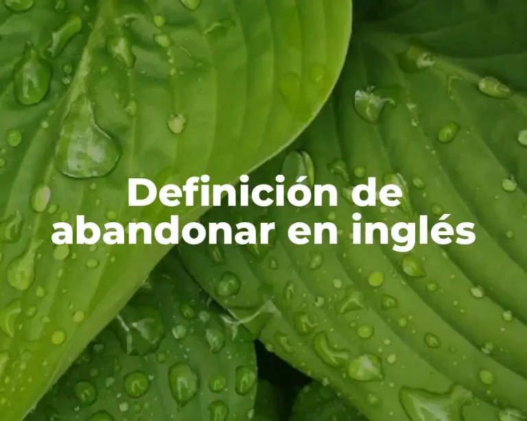 Definición de abandonar en inglés