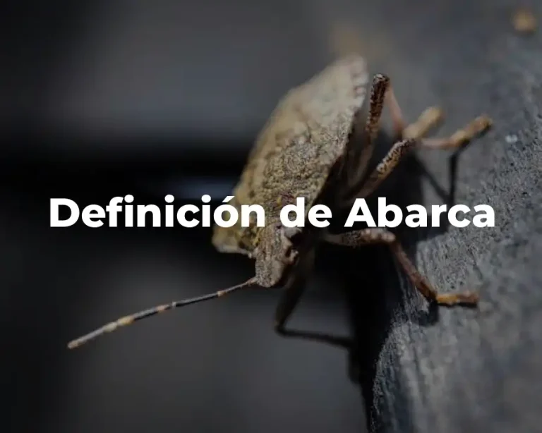 Definición de Abarca