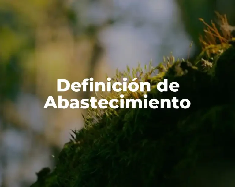 Definición de Abastecimiento