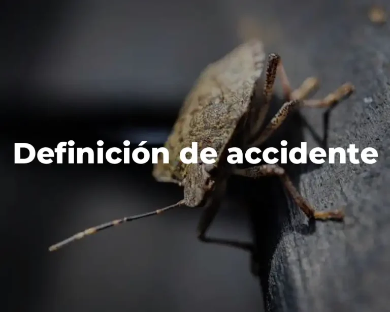 Definición de accidente