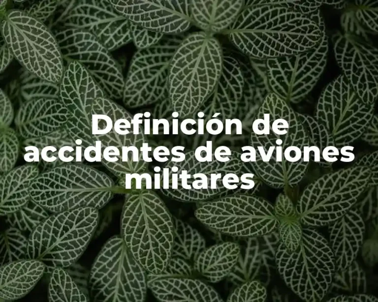 Definición de accidentes de aviones militares