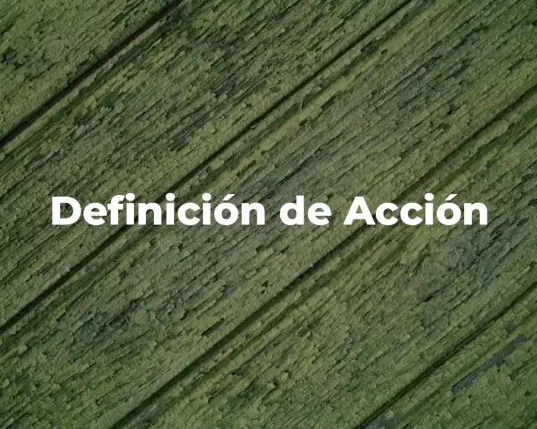 Definición de Acción