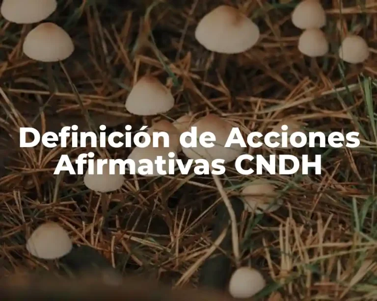 Definición de Acciones Afirmativas CNDH